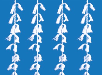 ܛ������